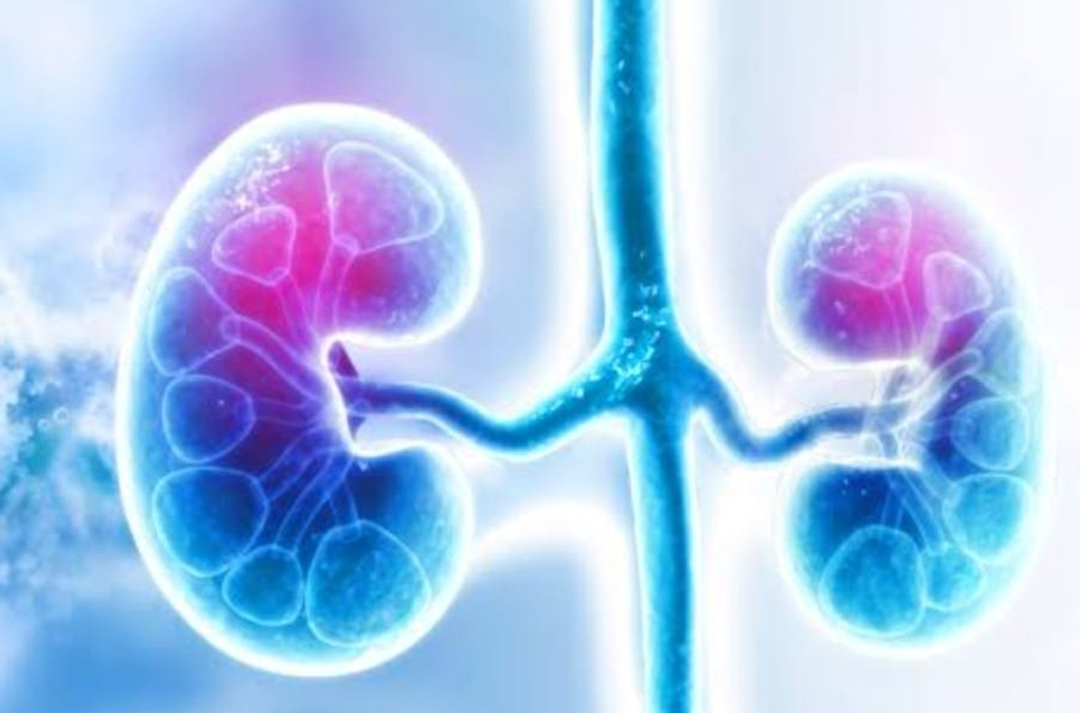 Kidney problems