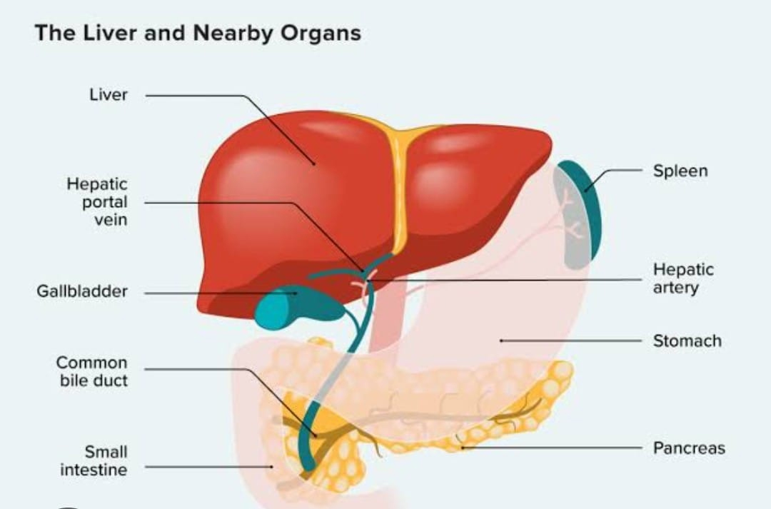 Liver problem